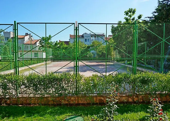 Gt Sunny Slăntjev Brjag